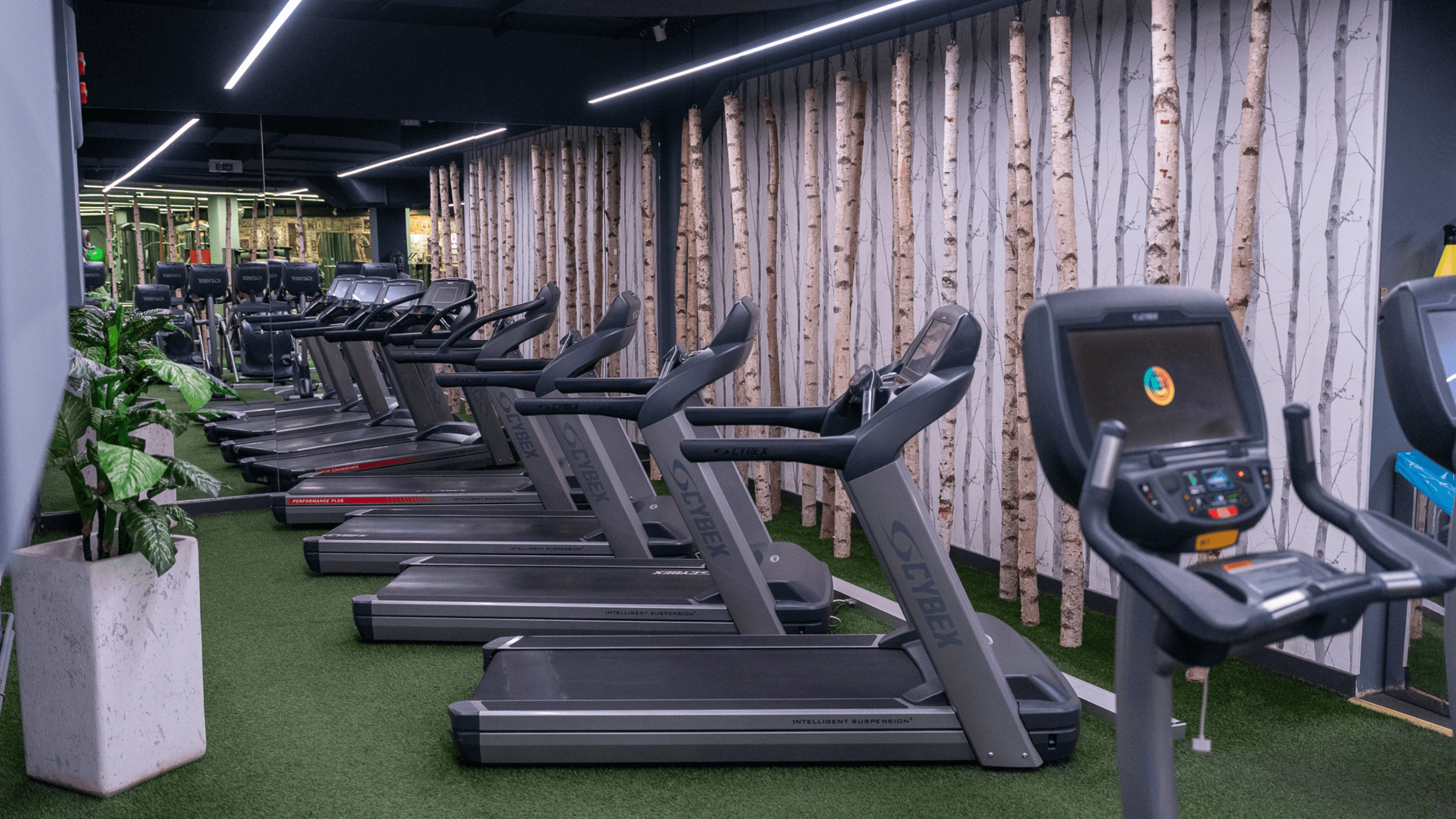 Cardio-Training im INJOY Fitnessstudio Tulln