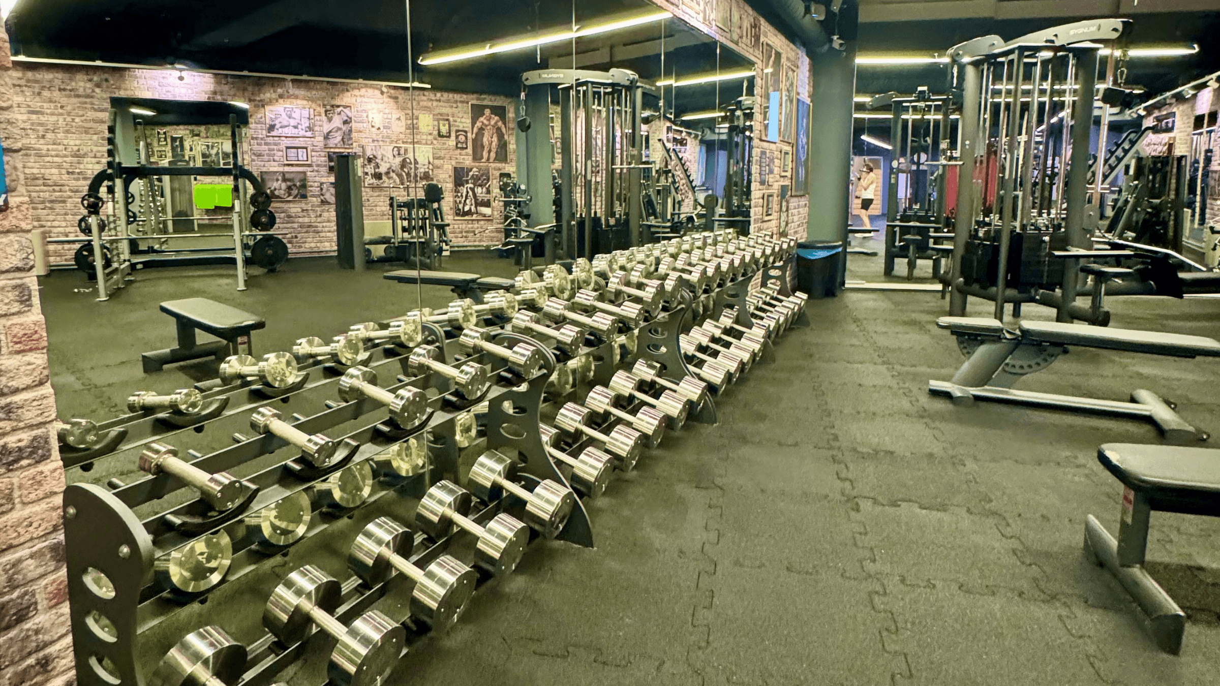 Bild aus dem Studio mit Ansicht des freien Trainingsbereichs mit Freihanteln.